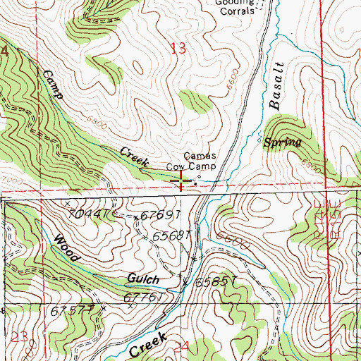 Topographic Map of Camas Cow Camp, ID