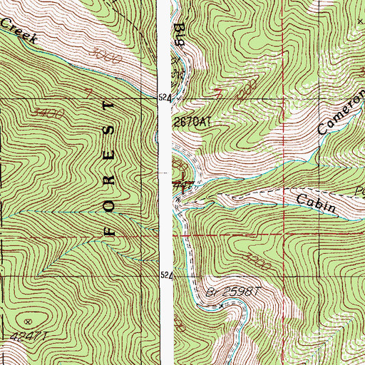 Topographic Map of Cameron Creek, ID