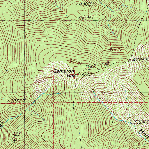 Topographic Map of Cameron Hill, ID