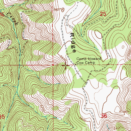 Topographic Map of Camp Howard Cow Camp, ID