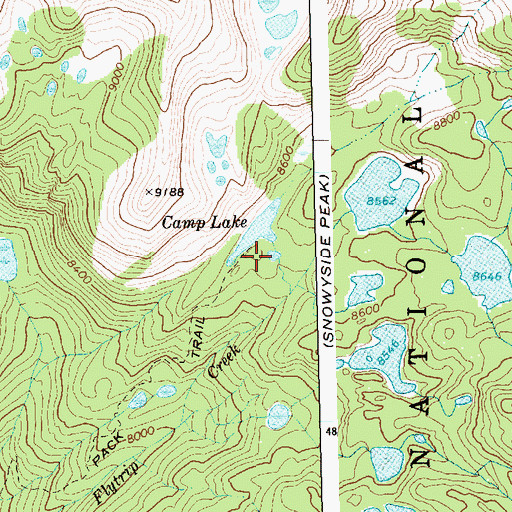 Topographic Map of Camp Lake, ID