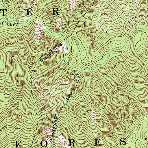 Topographic Map of Cantaloupe Creek, ID