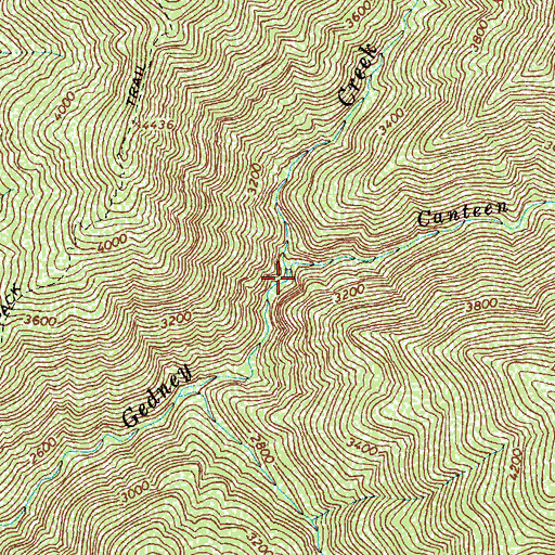 Topographic Map of Canteen Creek, ID