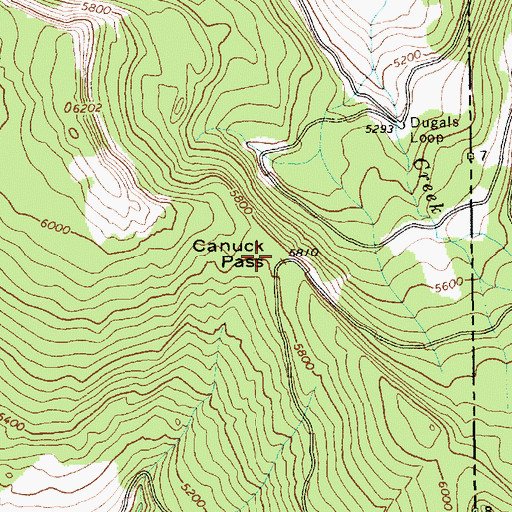 Topographic Map of Canuck Pass, ID