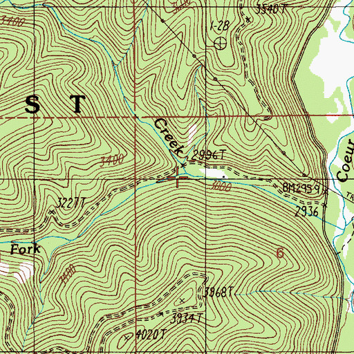 Topographic Map of Canyon Fork, ID
