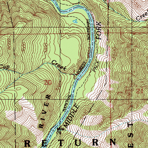 Topographic Map of Cap Creek, ID