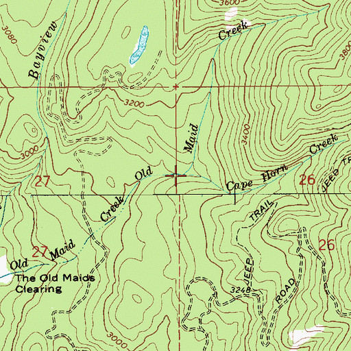 Topographic Map of Cape Horn Creek, ID
