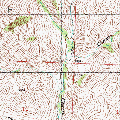Topographic Map of Carcass Creek, ID