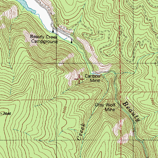 Topographic Map of Caribou Mine, ID