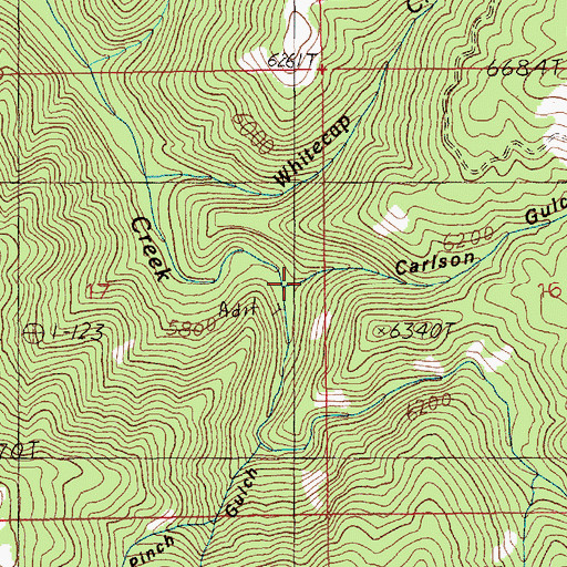 Topographic Map of Carlson Gulch, ID