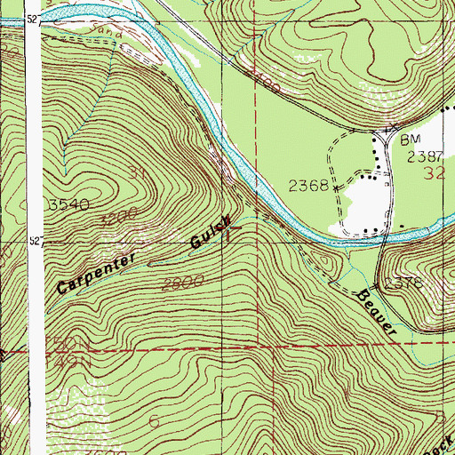 Topographic Map of Carpenter Gulch, ID