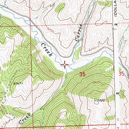 Topographic Map of Carrie Creek, ID