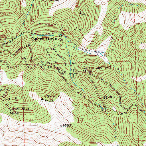 Topographic Map of Carrie Leonard Mine, ID