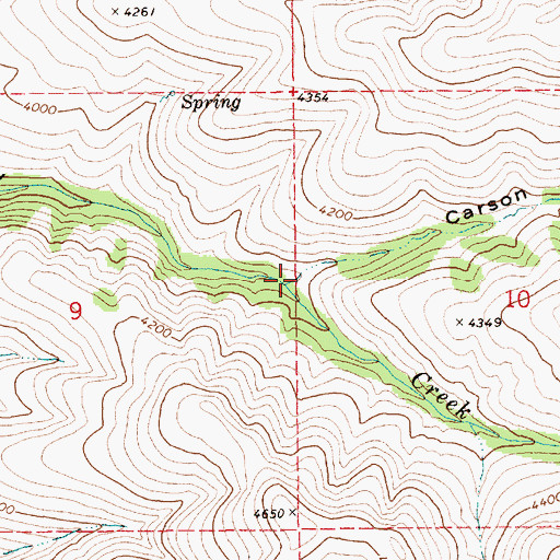 Topographic Map of Carson Gulch, ID