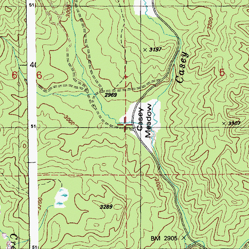 Topographic Map of Casey Meadow, ID