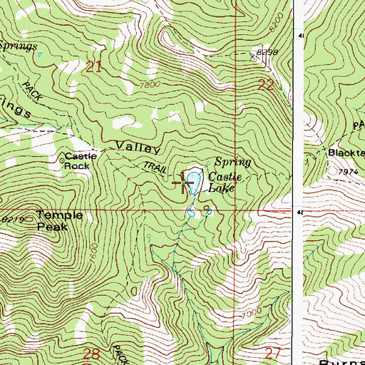Topographic Map of Castle Lake, ID