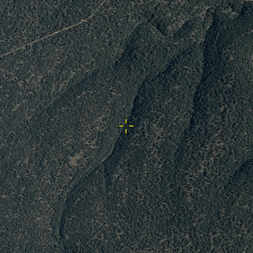 Aerial/Satellite Image of Limestone Spring, AZ