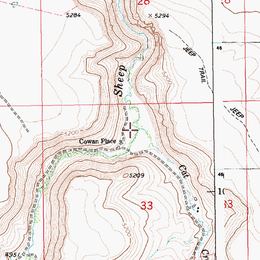 Topographic Map of Cat Creek, ID