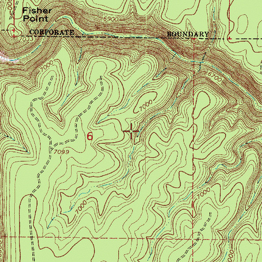 Topographic Map of Lion Spring, AZ