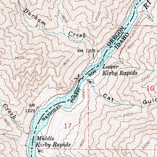 Topographic Map of Cat Gulch, ID