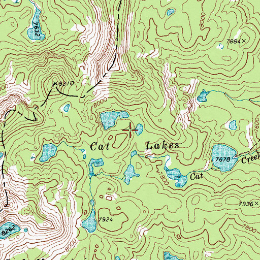 Topographic Map of Cat Lakes, ID