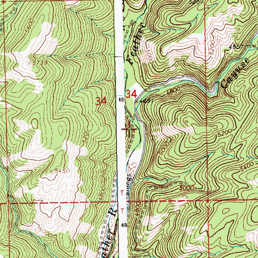 Topographic Map of Cayuse Creek, ID
