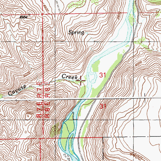 Topographic Map of Cayuse Creek, ID
