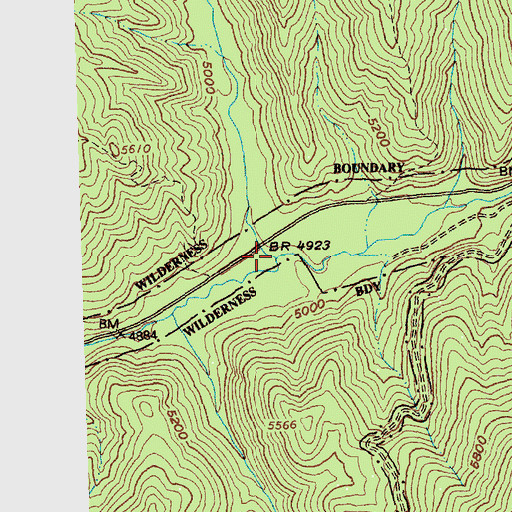 Topographic Map of Cayuse Creek, ID