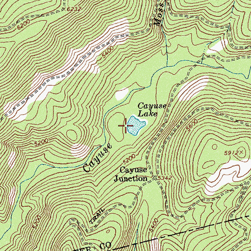 Topographic Map of Cayuse Lake, ID