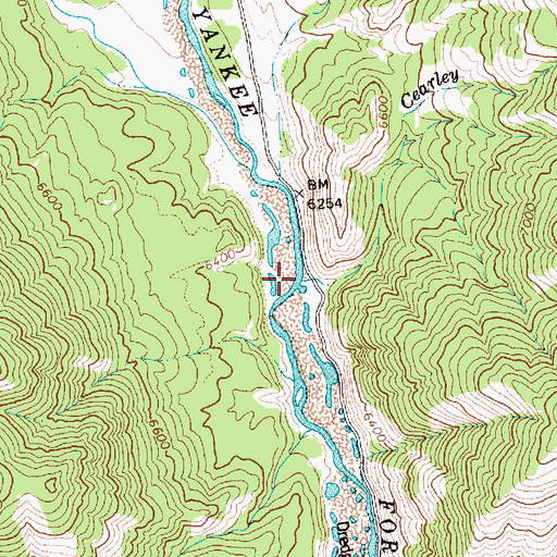 Topographic Map of Cearley Creek, ID
