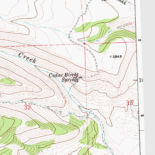 Topographic Map of Cedar Birch Spring, ID