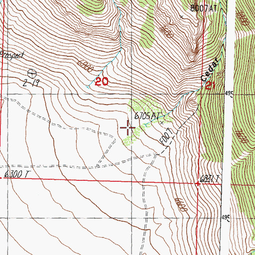 Topographic Map of Cedar Gulch, ID