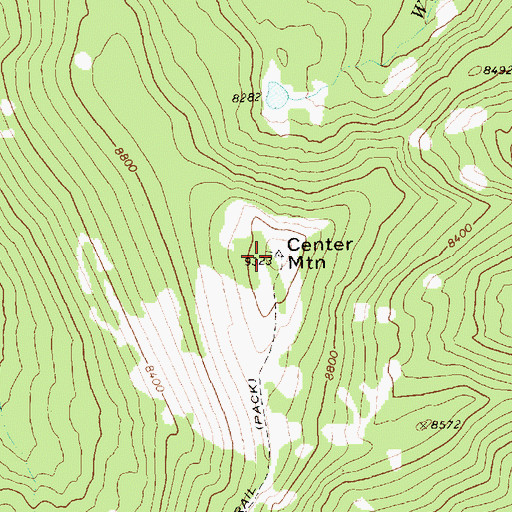 Topographic Map of Center Mountain, ID