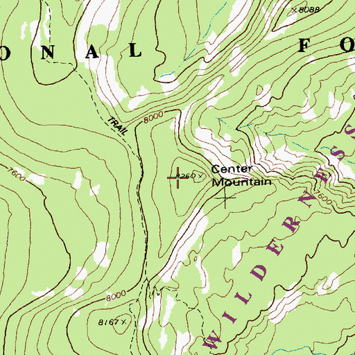 Topographic Map of Center Mountain, ID