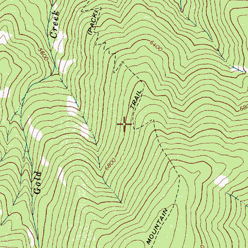 Topographic Map of Center Mountain Trail, ID