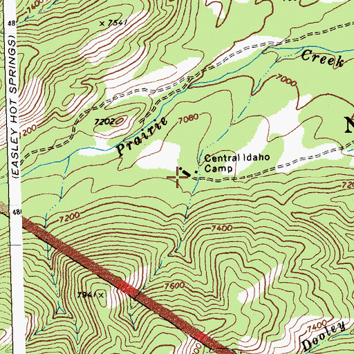 Topographic Map of Central Idaho Camp, ID