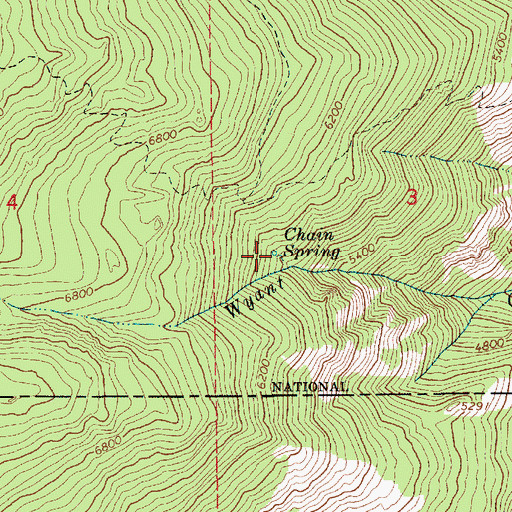 Topographic Map of Chain Spring, ID