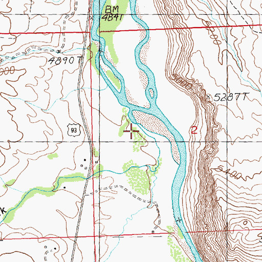 Topographic Map of Challis Creek, ID