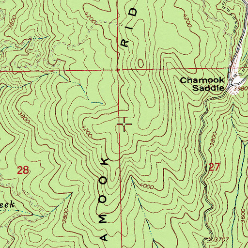 Topographic Map of Chamook Ridge, ID