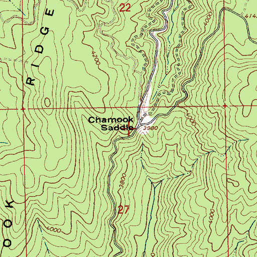 Topographic Map of Chamook Saddle, ID