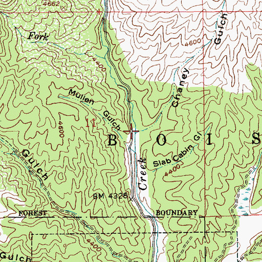 Topographic Map of Chaney Gulch, ID