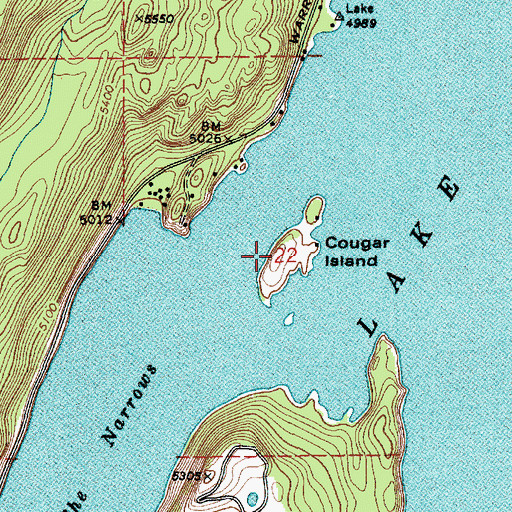 Topographic Map of Cougar Island, ID