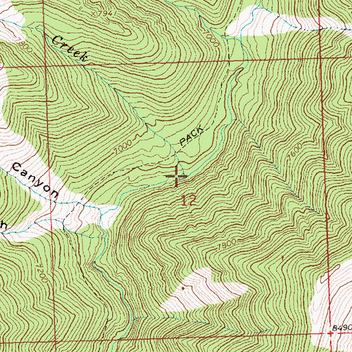 Topographic Map of Chaparral Creek, ID