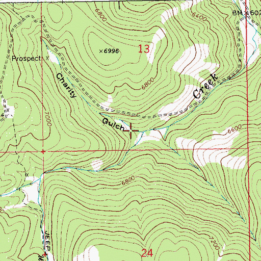 Topographic Map of Charity Gulch, ID