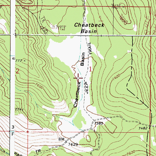 Topographic Map of Cheatbeck Basin, ID