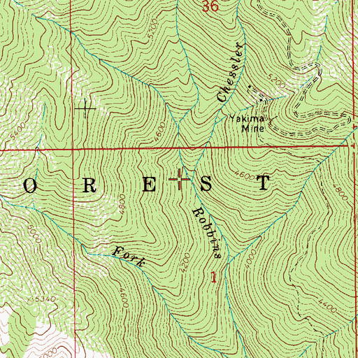 Topographic Map of Chessler Creek, ID