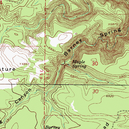 Topographic Map of Maple Spring, AZ