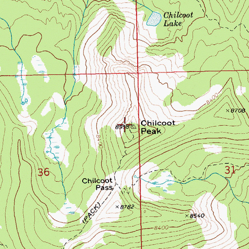 Topographic Map of Chilcoot Peak, ID