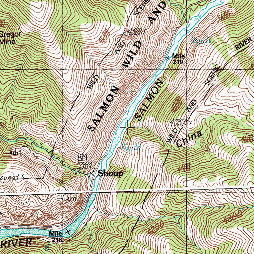 Topographic Map of China Gulch, ID