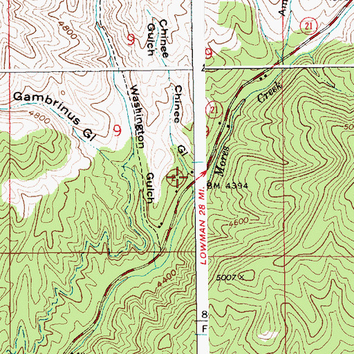 Topographic Map of Chinee Gulch, ID
